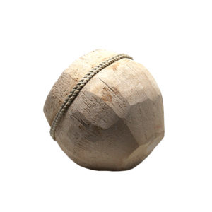 kokos-schale-hinten